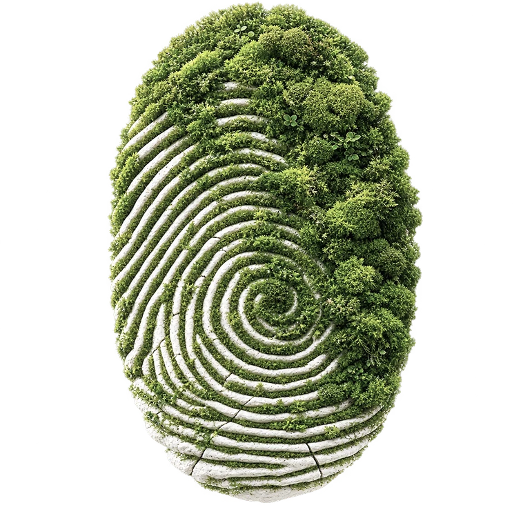 Fingerprint formed from greenery and stone